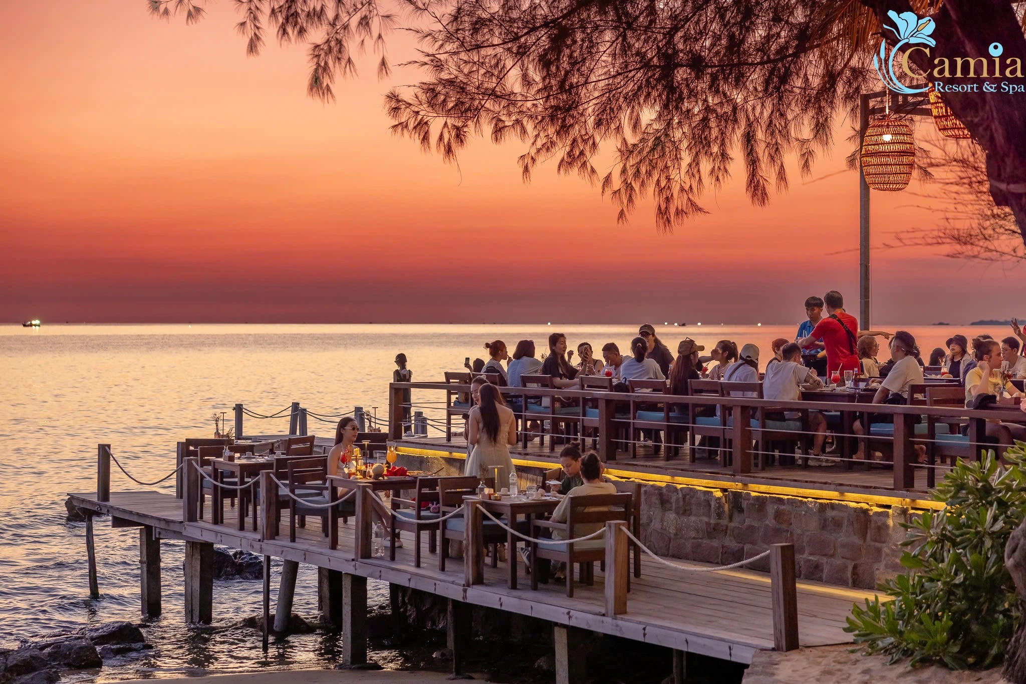 Camia Restaurant Banner